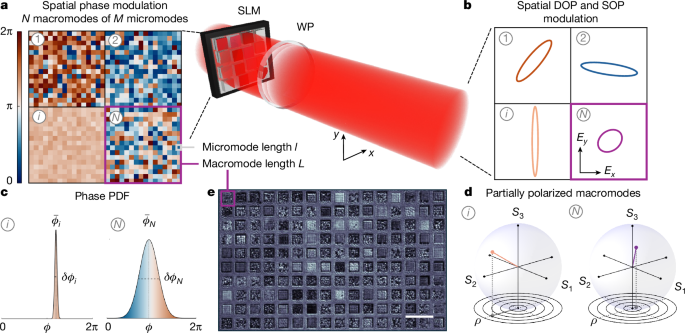 Degree-of-polarization modulation for high-dimensional optical computing – Nature