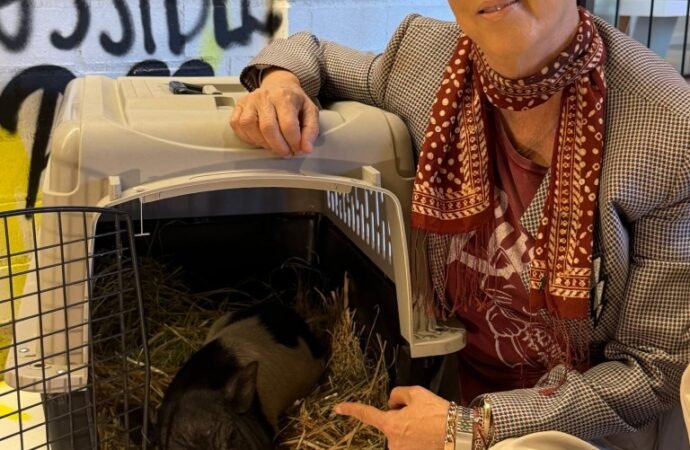Diane Warren Adopts West Hollywood’s Runaway Pig: ‘Welcome Wilbur!’