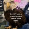 Do not share fake images of Jackie the bald eagle