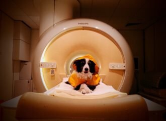 Dogs can tell if you’re angry, scared, or sad