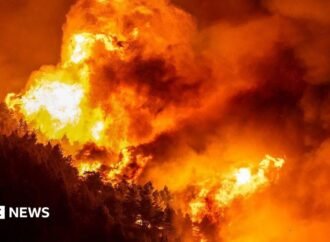 Dozens injured and thousands evacuated in Croatia wildfire