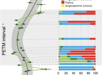 Earth’s forests took 100,000 years to recover from the last climate shock — this one is moving 10 times faster | Fortune