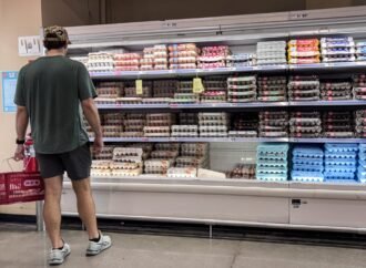 Egg prices finally came down. Now nearly 19 million eggs have another problem | Fortune