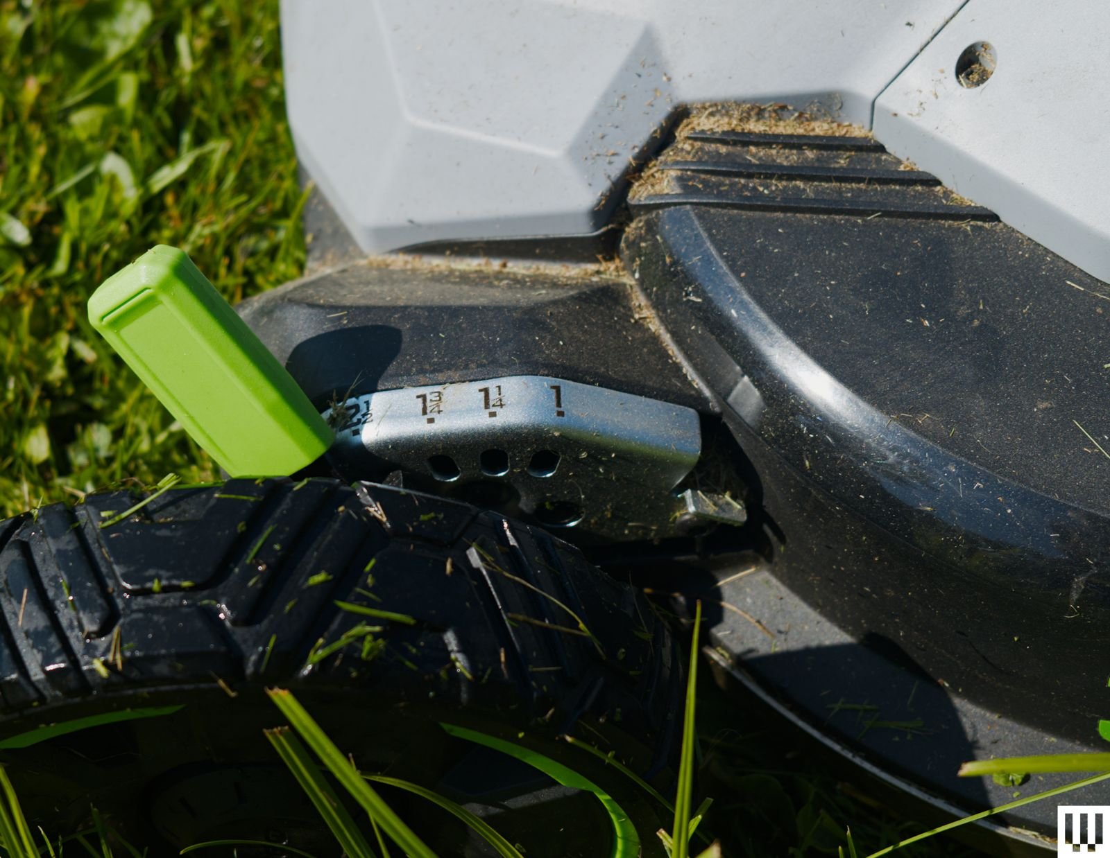 Image may contain Grass Plant Lawn Car Transportation and Vehicle