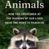 Einstein the musician, AI prophets and more: Books in brief