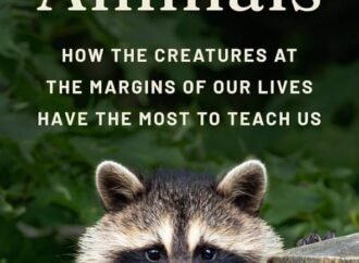 Einstein the musician, AI prophets and more: Books in brief