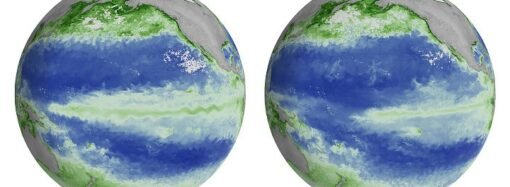 El Niño Alters Marine Life in the Pacific – NASA Science