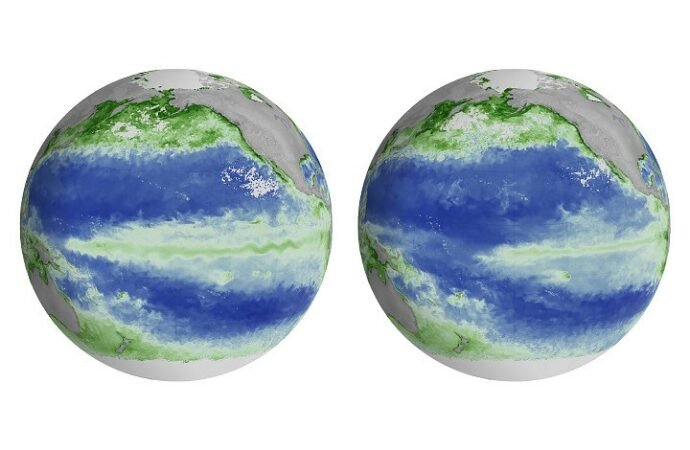 El Niño Alters Marine Life in the Pacific – NASA Science