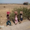 El Niño set to be ‘strongest in living memory’, says Met Office