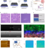 Encapsulation epitaxy of air-stable 2D superconductors for quantum circuits – Nature