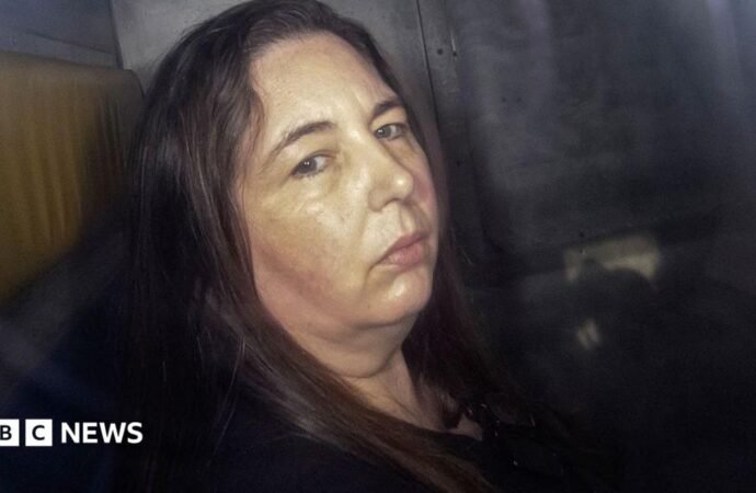 Erin Patterson: The hotel booking snafu that could free mushroom murderer
