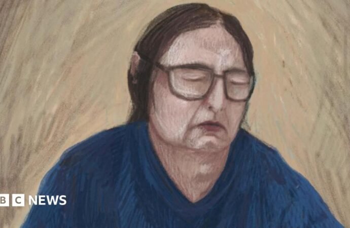 Erin Patterson appeal: Mushroom killer must stay in jail forever for ‘truly dreadful’ crime, prosecutors say