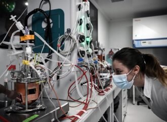 Europe can become a bioengineering powerhouse with these three changes
