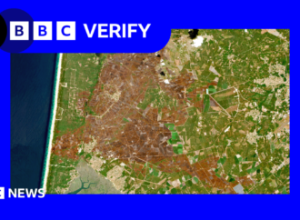 Europe’s scorched landscapes seen from space after summer heatwaves