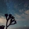 Eyes Up, Stargazers! Here’s What You Can See in September Night Skies – CNET