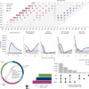 Family genetic designs in MoBa provide insights into health and functioning – Nature