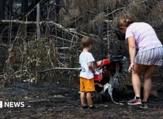 France wildfires reveal hundreds of WW2 shells in village