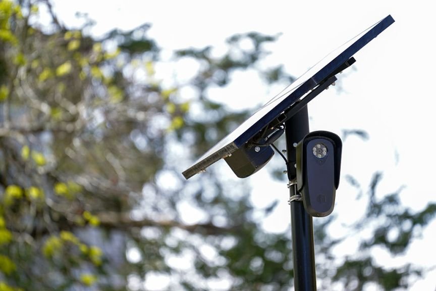 A camera and solar panel on the top of a post by a tree.
