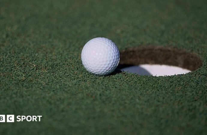 Golfer admits to faking hole-in-one during a tournament in United States