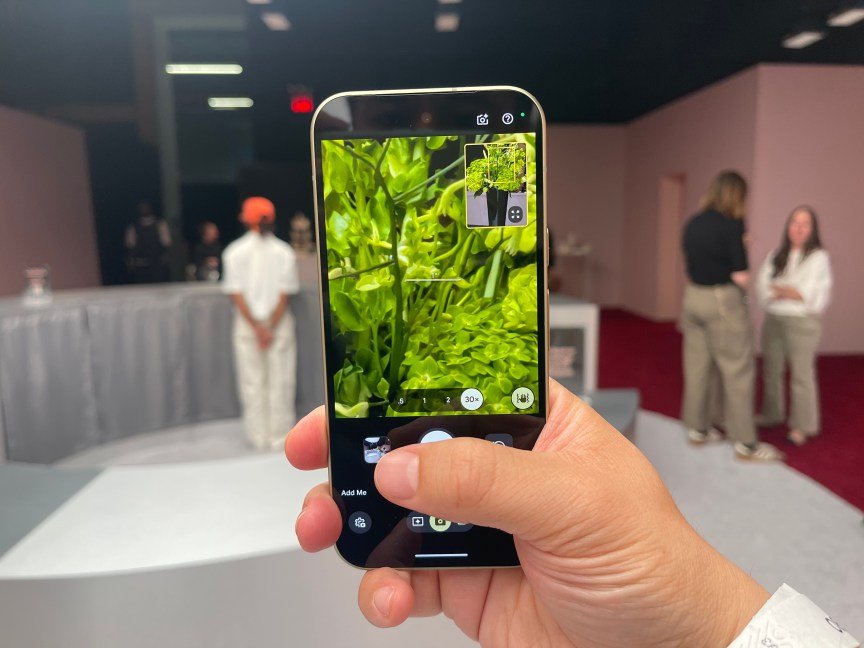 The Pixel 11 zooming in on a plant.