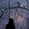 Google quietly discontinues its Earth AI feature a day after its rollout after users made no-no images | Fortune