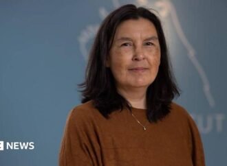 Greenland says findings on forced contraception genocide allegation not final