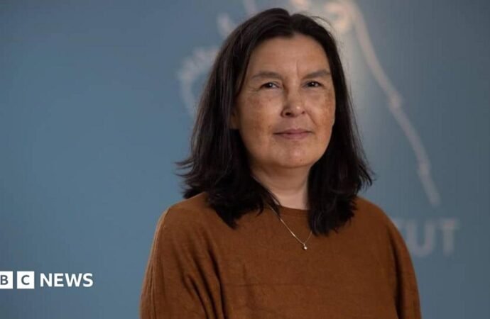 Greenland says findings on forced contraception genocide allegation not final