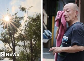 Heatwave: South Korea records its hottest day since records began