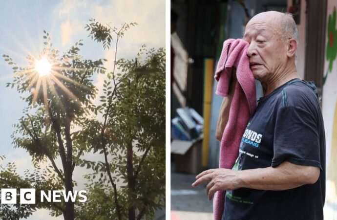 Heatwave: South Korea records its hottest day since records began