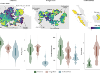 Heterogeneous climatic controls on tropical-forest biomass – Nature