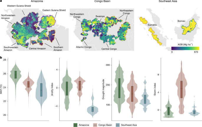 Heterogeneous climatic controls on tropical-forest biomass – Nature