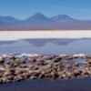 How the story of life and our planet unfolded — together