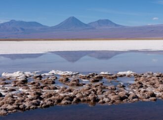 How the story of life and our planet unfolded — together