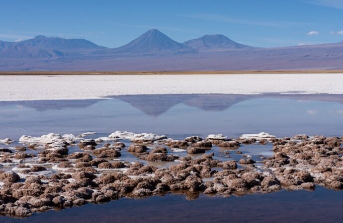 How the story of life and our planet unfolded — together