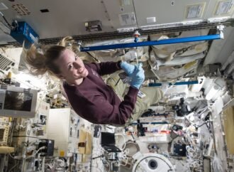 Human-Related Microbes May Survive Moon’s South Pole, NASA Finds – NASA Science