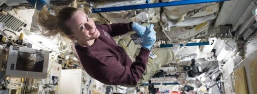 Human-Related Microbes May Survive Moon’s South Pole, NASA Finds – NASA Science