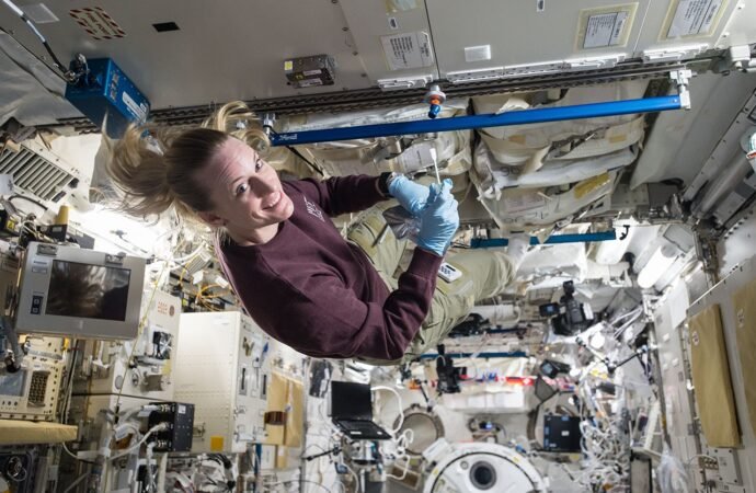 Human-Related Microbes May Survive Moon’s South Pole, NASA Finds – NASA Science