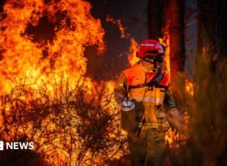 Hundreds arrested over French wildfires, but who is to blame?
