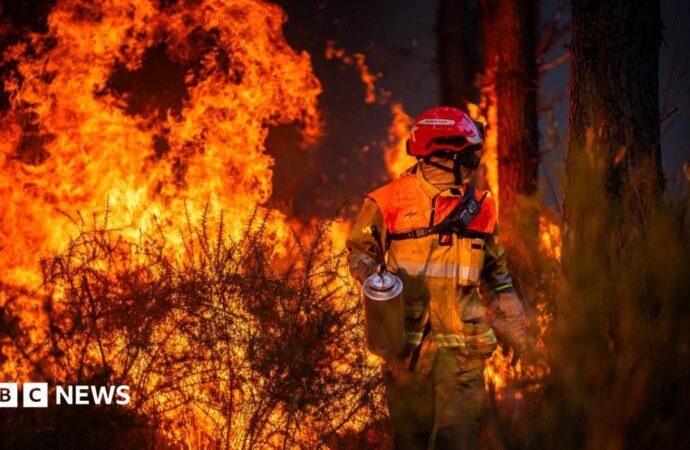 Hundreds arrested over French wildfires, but who is to blame?