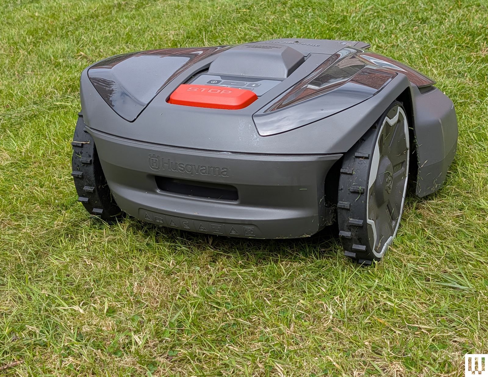 Image may contain Grass Plant Lawn Car Transportation and Vehicle