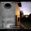 I Watched a Family of Chickadees Grow Up in This Smart Birdhouse
