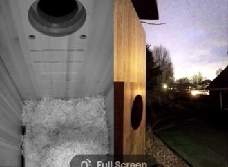 I Watched a Family of Chickadees Grow Up in This Smart Birdhouse