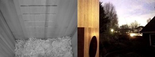 I Watched a Family of Chickadees Grow Up in This Smart Birdhouse