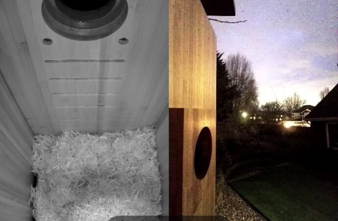 I Watched a Family of Chickadees Grow Up in This Smart Birdhouse