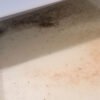 I visited Thermacell’s lab that breeds mosquitoes. It didn’t suck.