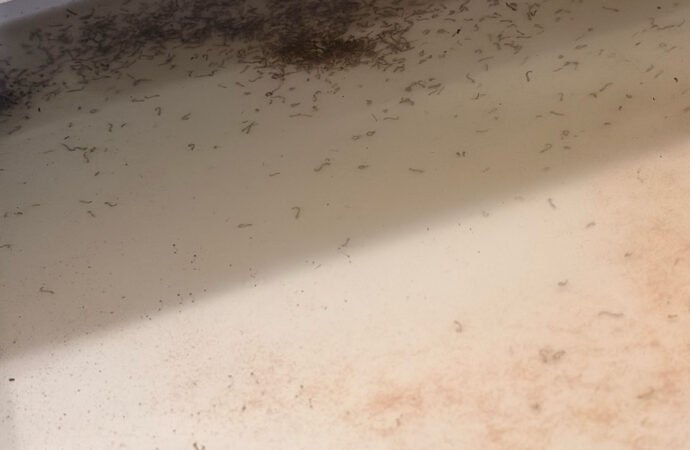 I visited Thermacell’s lab that breeds mosquitoes. It didn’t suck.