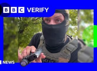 ICE: BBC Verify speaks to woman after agent points gun at her