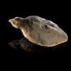 Ice Age bird figurines discovered in German cave