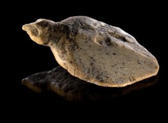 Ice Age bird figurines discovered in German cave