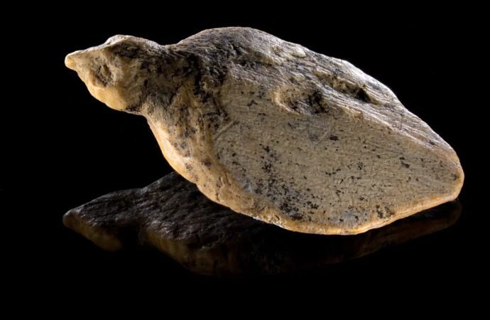 Ice Age bird figurines discovered in German cave